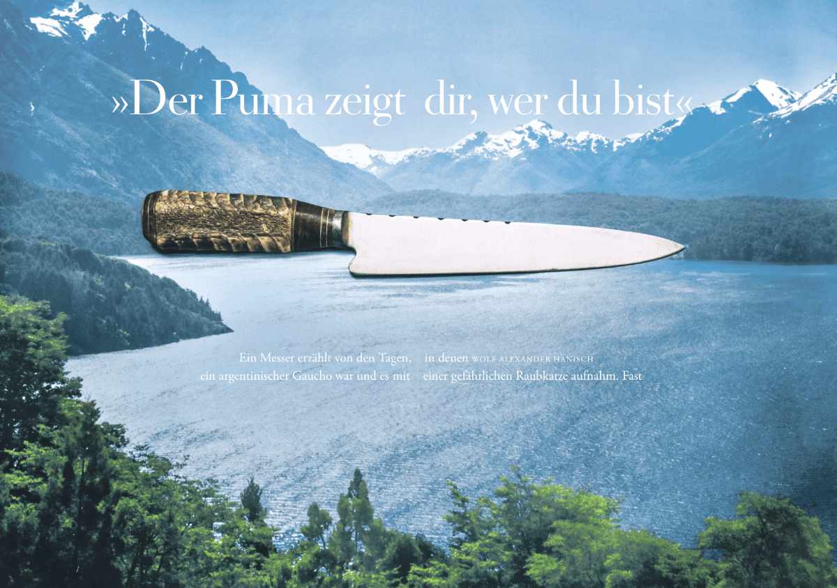der-puma-zeigt-dir-wer-du-bist-2-wolf-alexander-hanisch