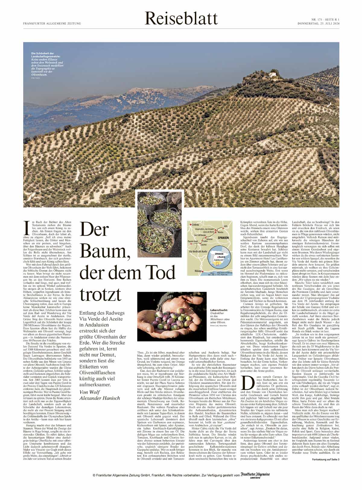 der-baum-der-dem-tod-trotzt-wolf-alexander-hanisch